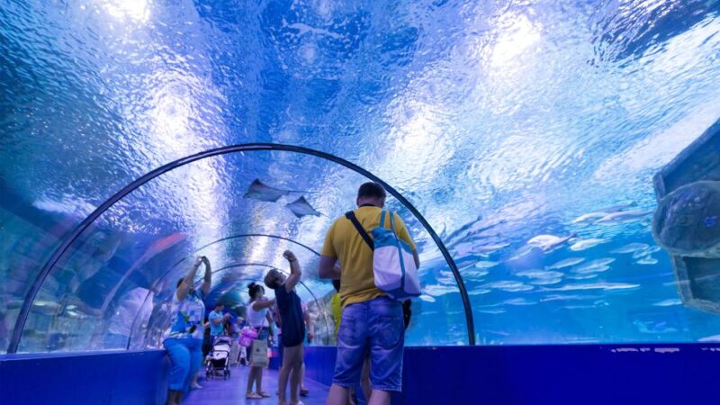 From city of Side: Antalya Aquarium Full-Day Trip - Who Should Consider This Tour