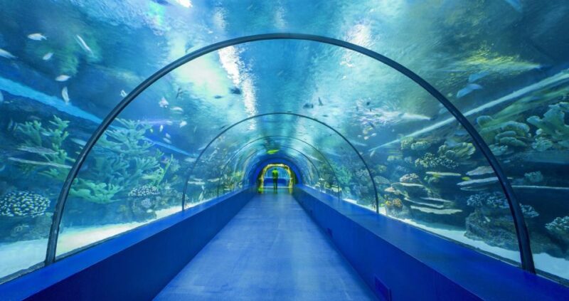 From city of Side: Antalya Aquarium Full-Day Trip - Final Thoughts on the Antalya Aquarium Full-Day Trip
