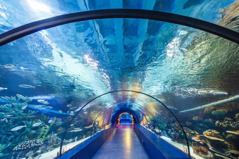 From City of Side: Antalya Aquarium Tour, Ticket & Transfer - Discover the Best of Antalya with a Day Tour from Side