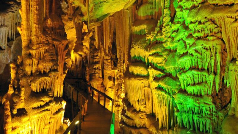 From city of Side: Guided Day Trip to Alanya City - Logistics and Booking Tips