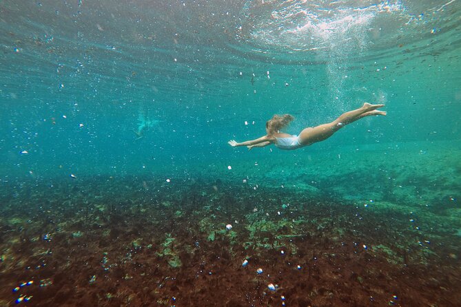 from Civitavecchia: Saturnia natural hot springs experience - Discover the Saturnia Hot Springs and the Garden of Bomarzo in a Day