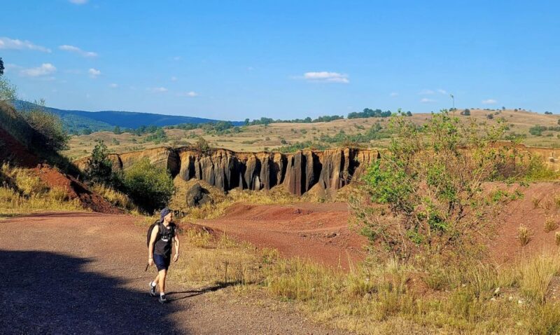 From Cluj : Golden Circle Of Transylvania - Visiting the Libearty Bear Sanctuary and Dracula Castle