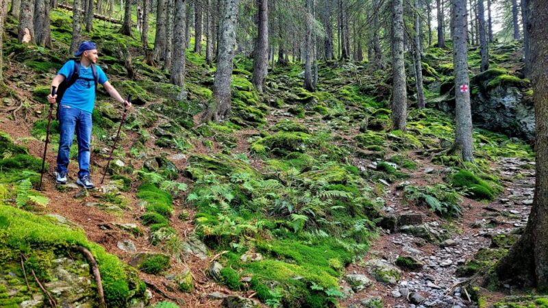 From Cluj : Golden Circle Of Transylvania - Final Thoughts on the Cluj to Transylvania Tour