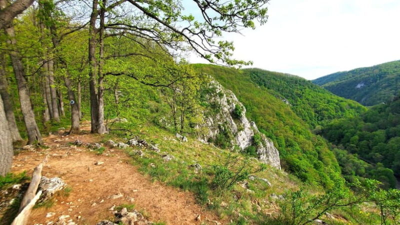 From Cluj: Gorges of Crisul Repede River - Key Points