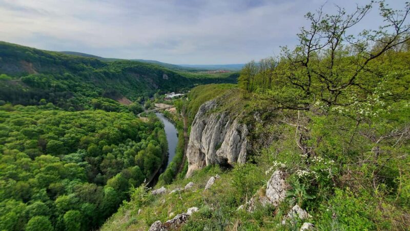 From Cluj: Gorges of Crisul Repede River - Iconic Views of Vadu Crisului Falls from Above
