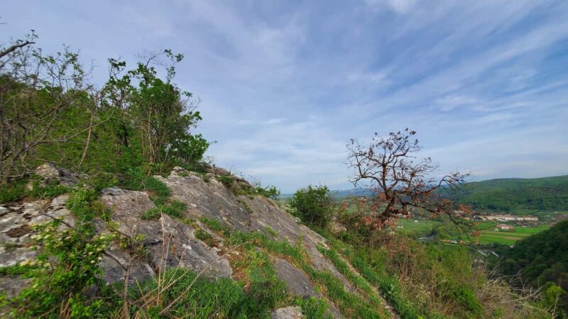 From Cluj: Gorges of Crisul Repede River - Practical Details: Logistics, Group Size, and What to Bring