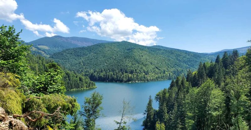 From Cluj: Mountain Bike around Lake Dragan - The Route Around Lake Dragan: What to Expect