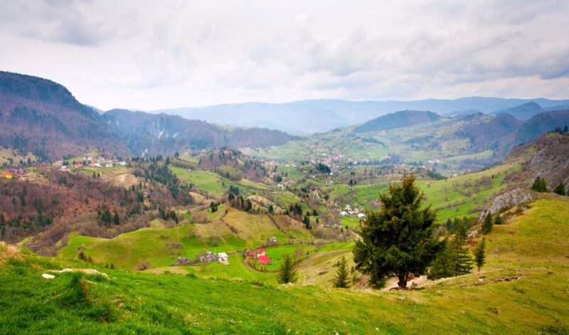 From Cluj-Napoca: 2-Day Bucovina & Painted Monasteries Tour - Exploring the Painted Monasteries of Bucovina