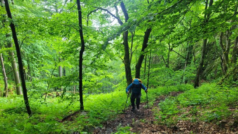 From Cluj-Napoca: Apuseni Mountains Hiking Guided Day Tour - Reaching Scarita Peak and the Views