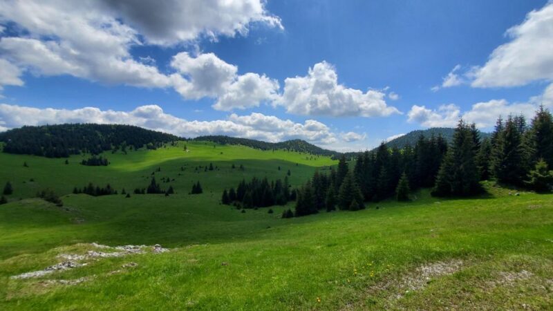 From Cluj-Napoca: Carpathian Mountains Guided Scenic Hike - Introduction to the Carpathian Mountains Guided Hike