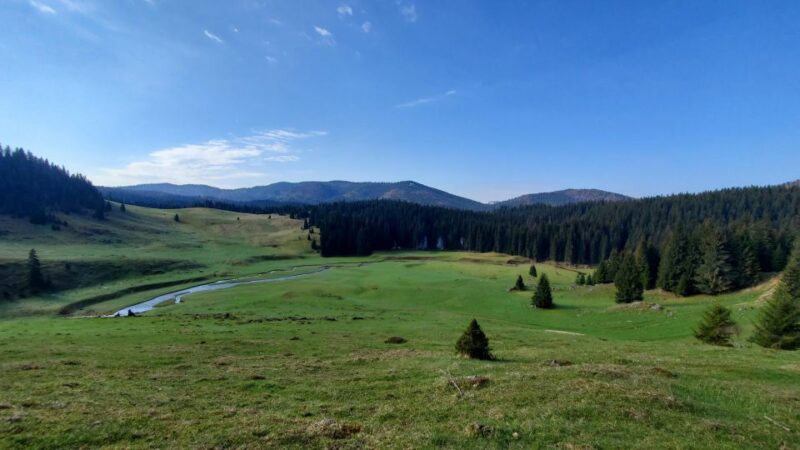 From Cluj-Napoca: Carpathian Mountains Guided Scenic Hike - Local Cuisine and Optional Purchases
