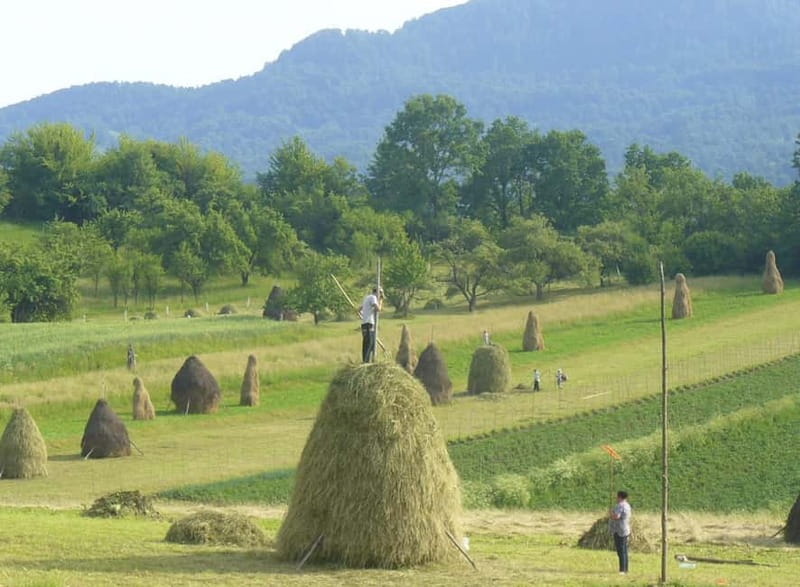 From Cluj-Napoca: Maramure 3-Day Tour with Accommodation - Key Points