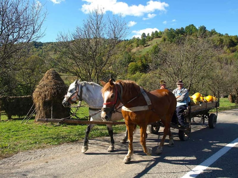 From Cluj-Napoca: Maramure 3-Day Tour with Accommodation - Bârsana Monastery and Wood Carving Workshops