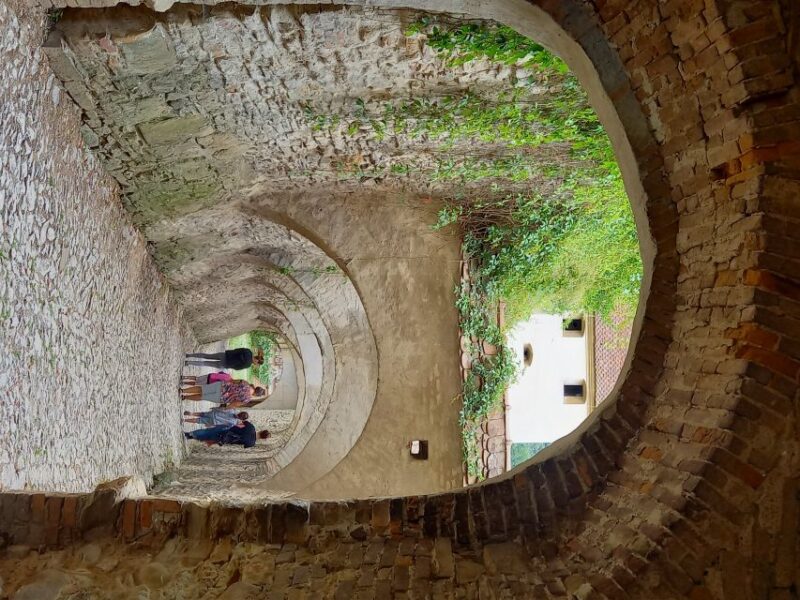 From Cluj: Sighioara and Church of Biertan Guided Tour - Drive Through the Transylvanian Highlands to Sighisoara