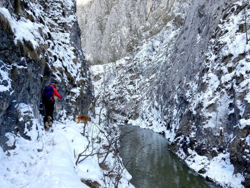 From Cluj: Turda Salt Mine, Gorge, and Remetea Full-Day Trip - Hiking Through the Dramatic Turda Gorge