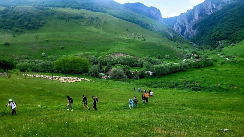 From Cluj: Turda Salt Mine, Gorge, and Remetea Full-Day Trip - Guide Highlights and Practical Tips