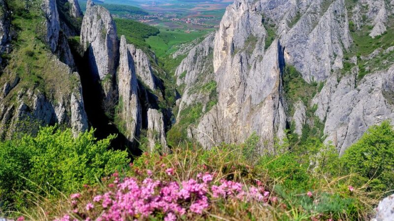 From Cluj: Turda Salt Mine, Gorge, and Remetea Full-Day Trip - The Value and Overall Experience