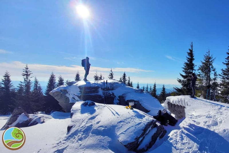 From Cluj: Winter Walking Trip on the Great Mountain - Key Points