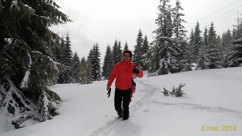 From Cluj: Winter Walking Trip on the Great Mountain - Learning from a Knowledgeable and Friendly Guide