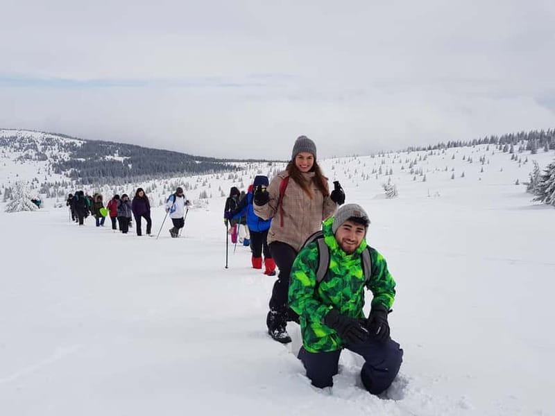 From Cluj: Winter Walking Trip on the Great Mountain - The Route Through Deep Forests and Mountain Vistas