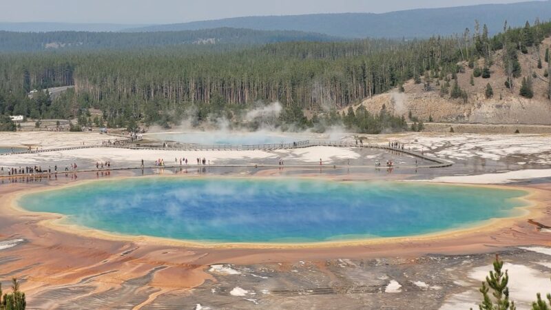 From Cody: Full-Day Yellowstone National Park Tour - Discovering Norris Geyser Basin’s Otherworldly Landscape