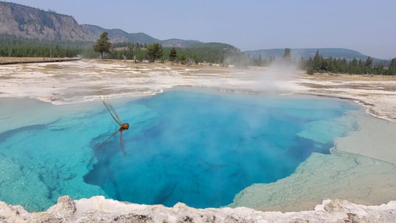 From Cody: Full-Day Yellowstone National Park Tour - Visiting West Thumb Geyser Basin on Yellowstone Lake’s Shore