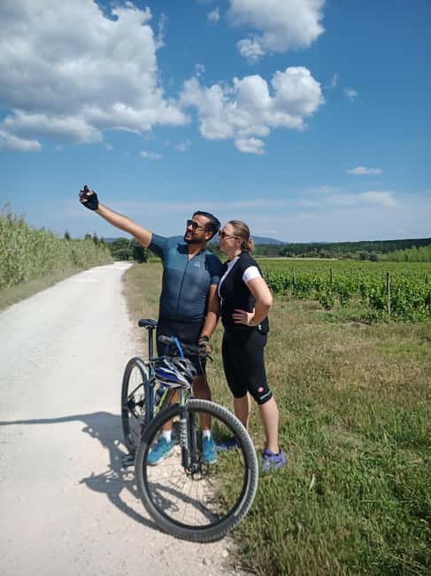 From Coimbra: Cycling in the Vineyards of Bairrada - Sampling the Region’s Culinary Highlight: Leitão Assado à Bairrada