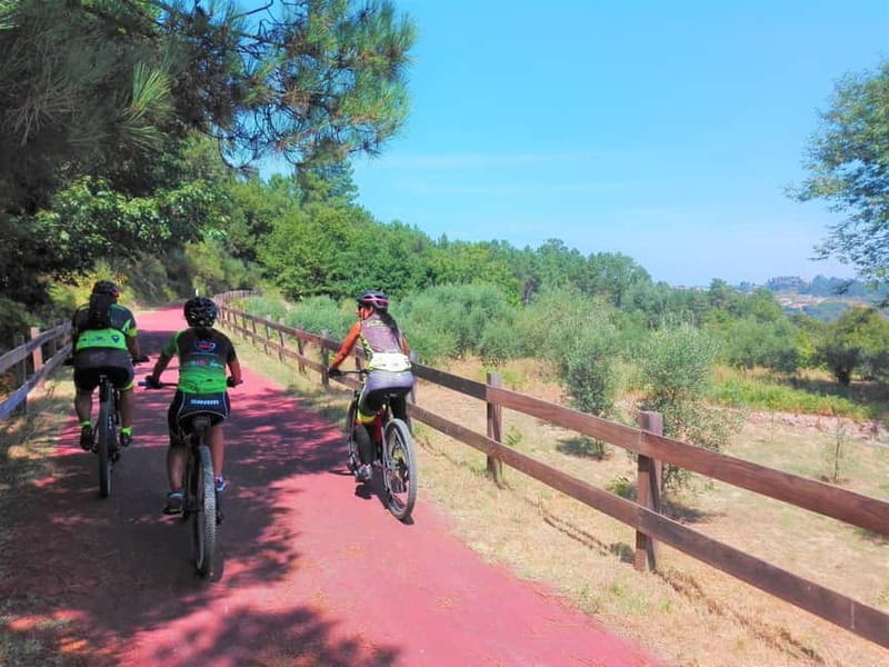 From Coimbra: Cycling on the Dão Ecotrail - Discover the Dão Ecotrail Cycling Experience from Coimbra