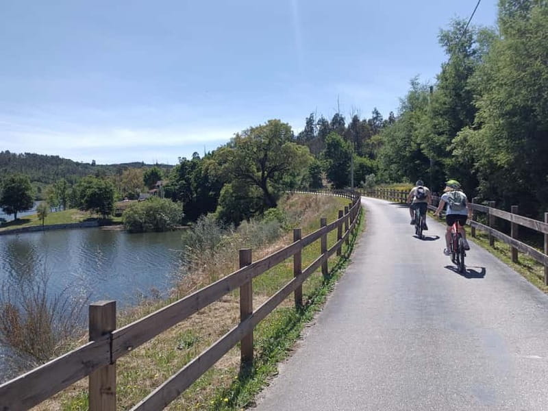 From Coimbra: Cycling on the Dão Ecotrail - Exploring Viseu: The Departure Point for the Route