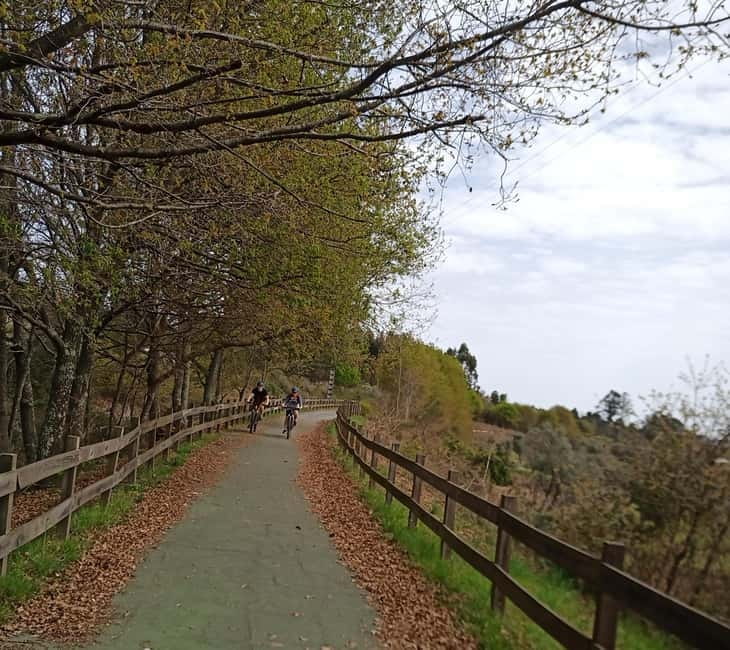 From Coimbra: Cycling on the Dão Ecotrail - Flexibility and Cancellation Policies