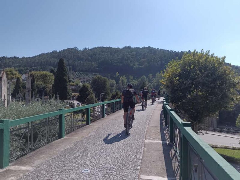 From Coimbra: Cycling on the Vouga Eco-Trail - Languages and Tour Guidance