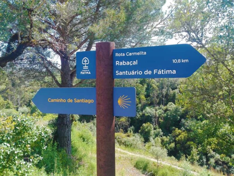 From Coimbra: E-bike tour of the Roman Ruins of Conímbriga - Discovering the Conímbriga Museum Artifacts