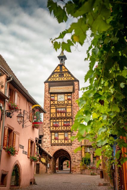 From Colmar: Alsace wine route tour Full Day - Key Points