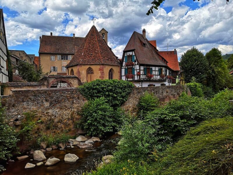 From Colmar: Alsace wine route tour Half Day - Limitations and Considerations