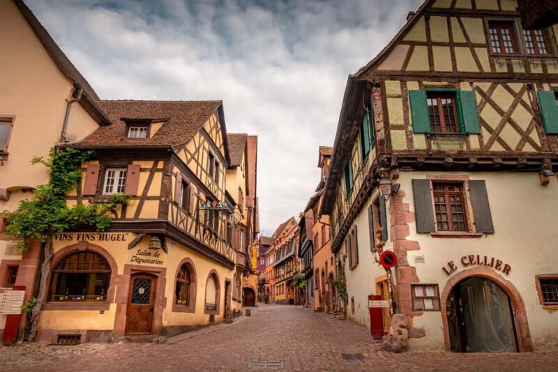 From Colmar: Alsace wine route tour Half Day - Who Will Enjoy This Tour Most
