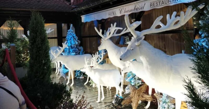 From Colmar: Christmas Markets Across 3 Borders - Why This Tour Stands Out: Cross-Border Holiday Experience