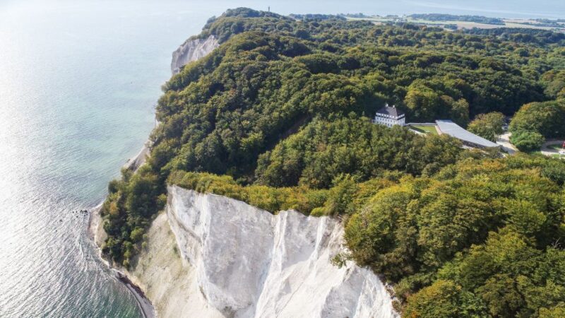 From Copenhagen: Round-Trip to Møns Klint and Forest Tower - Discover Denmarks Natural Wonders with a Day Trip from Copenhagen