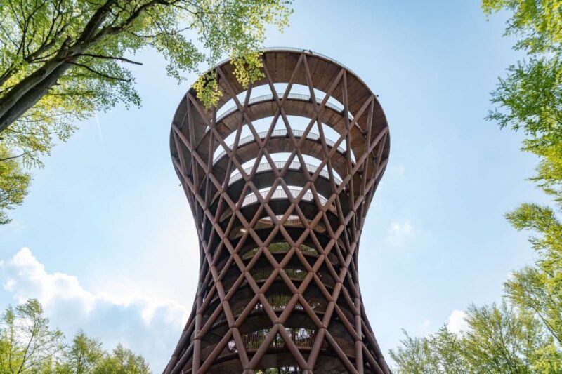 From Copenhagen: Round-Trip to Møns Klint and Forest Tower - The Forest Tower: Wooden Walkways and Panoramic Views