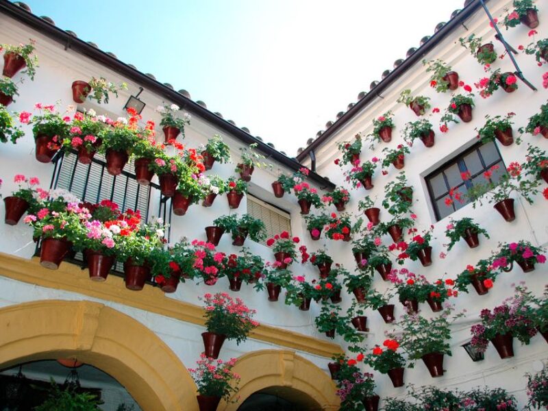 From Costa del Sol: Day Trip to Cordoba Free Time - Explore Córdoba at Your Own Pace with a Day Trip from Costa del Sol