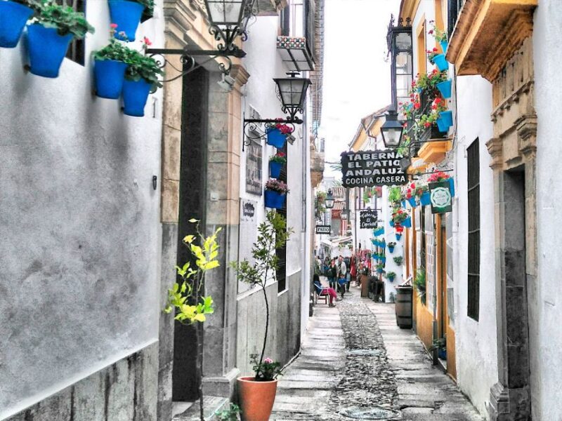 From Costa del Sol: Day Trip to Cordoba Free Time - Highlights of Córdoba’s Landmarks and Atmosphere