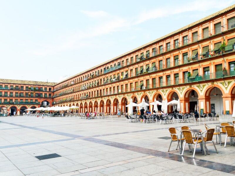 From Costa del Sol: Day Trip to Cordoba Free Time - Authentic Córdoba Experience and Food Opportunities