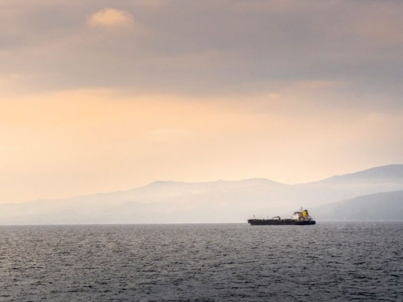 From Costa del Sol: Day Trip to Gibraltar with Guided Tour - Exploring Gibraltar’s Key Landmarks and Natural Wonders