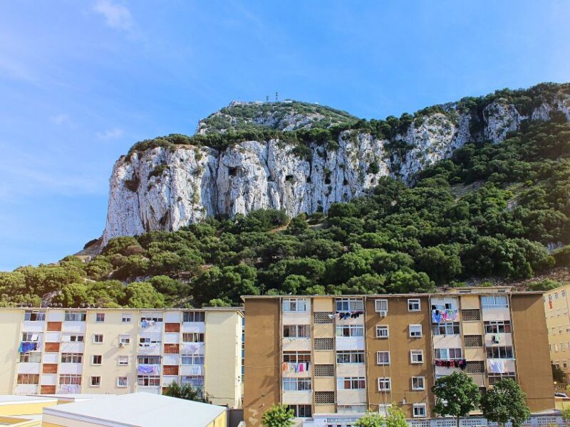 From Costa del Sol: Day Trip to Gibraltar with Guided Tour - Final Tips for Travelers Considering This Trip