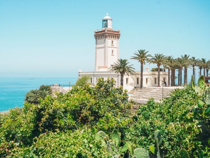 From Costa del Sol: Discover Tangier on a Guided Day Trip - Starting Point and Transportation to Tangier
