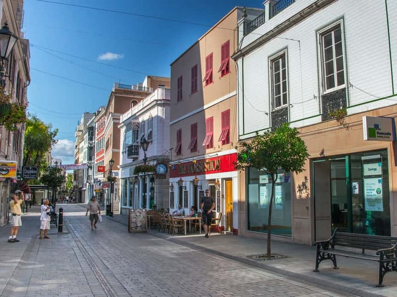 From Costa del Sol: Gibraltar Day Trip with Free Time - The Guides Role and Transport Comfort