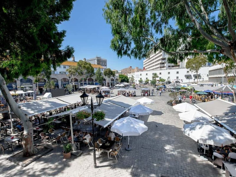 From Costa del Sol: Gibraltar Day Trip with Free Time - Considering the Duration and Pacing of the Tour