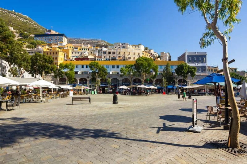 From Costa del Sol: Gibraltar Day Trip with Free Time - Accessibility and Physical Considerations