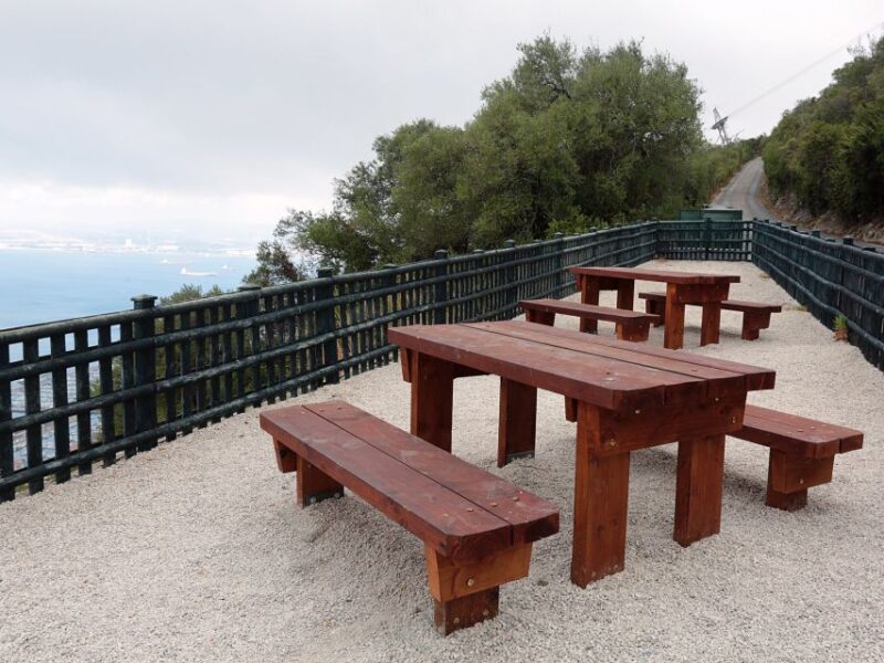 From Costa del Sol: Gibraltar Dolphin Watching by Boat - Dolphin Watching Boat Experience in Gibraltar