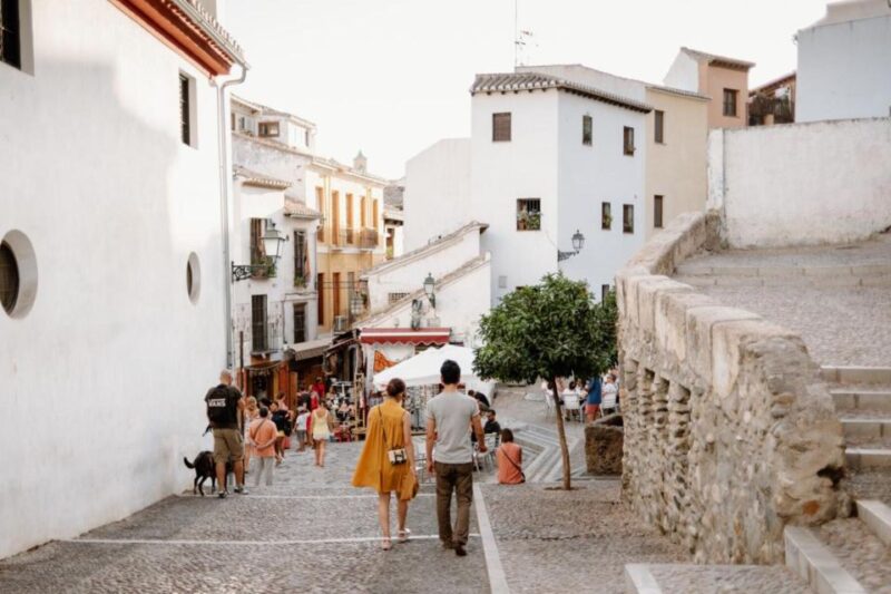 From Costa del Sol: Granada Day Trip Free Time 5h - Discover Granada on Your Own with a Convenient Day Trip from Costa del Sol