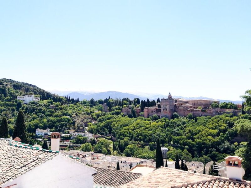From Costa del Sol: Granada Day Trip Free Time 5h - Returning to Costa del Sol: Comfortable Journey Back